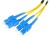 c9cce816b184aa47acbd80aa50cc3566